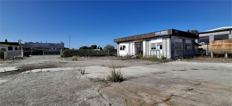 Photo 19