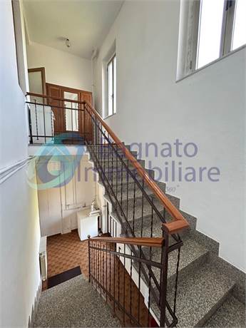 Photo 51